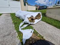 Review image Review image